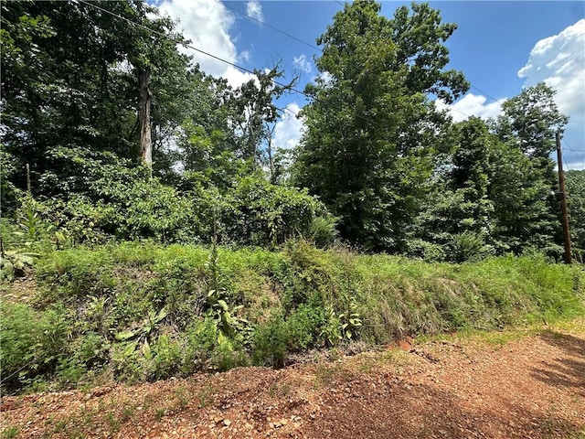 14044 Villera Dr, Rogers, AR 72758 - photo 4