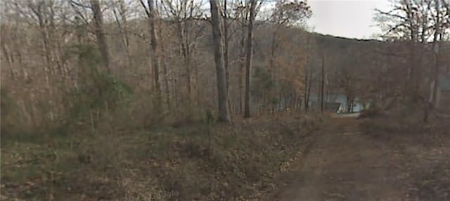 14044 Villera Dr, Rogers, AR 72758 - photo 10