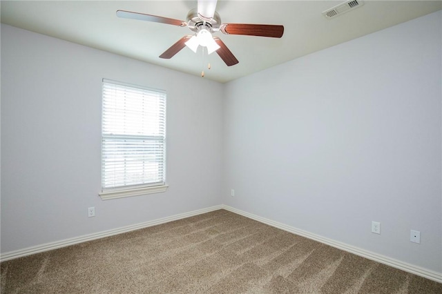 431 N Cold Harbor Ave, Fayetteville, AR 72704 - photo 17