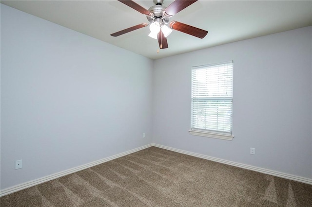 431 N Cold Harbor Ave, Fayetteville, AR 72704 - photo 18
