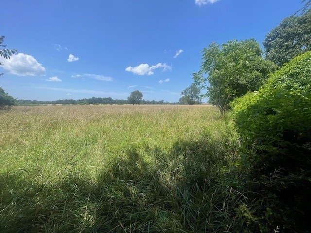 10475 Roberts Rd, Bentonville, AR 72713 - photo 11