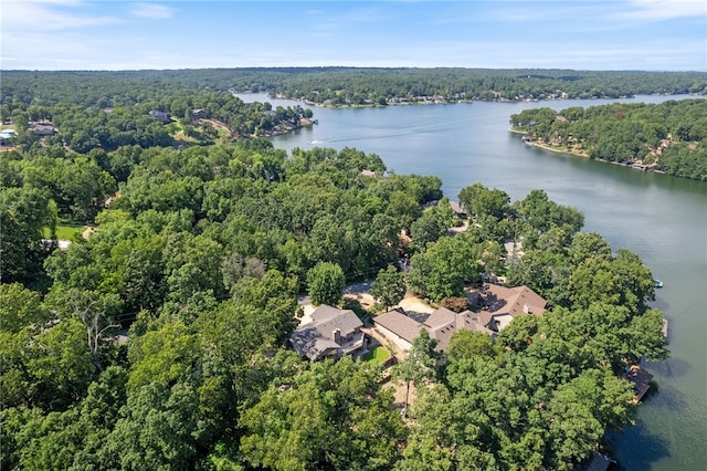 14 Waterside Ln, Bella Vista, AR 72715 - photo 40