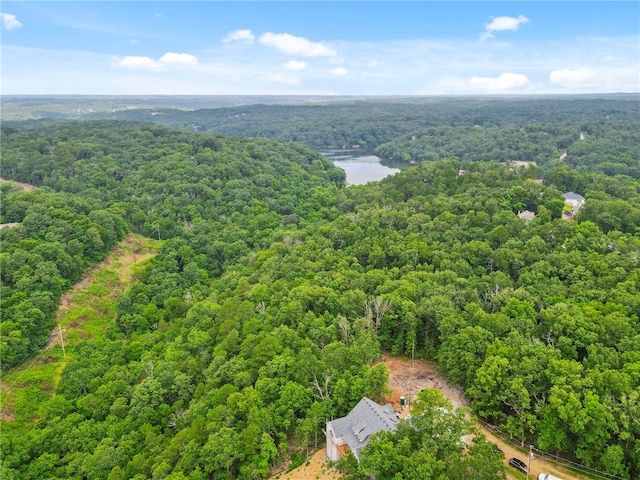 17 Newbury Ln, Bella Vista, AR 72714 - photo 20