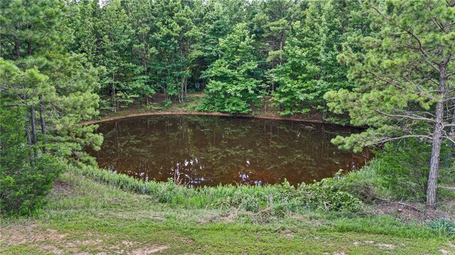 292 Water Falls Ln, Russellville, AR 72802 - photo 39
