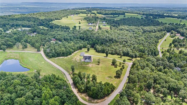 292 Water Falls Ln, Russellville, AR 72802 - photo 41