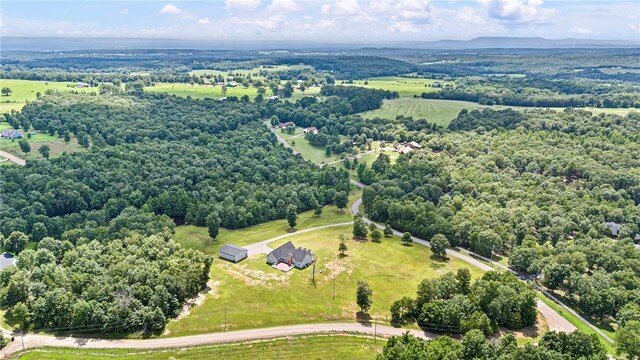 292 Water Falls Ln, Russellville, AR 72802 - photo 46