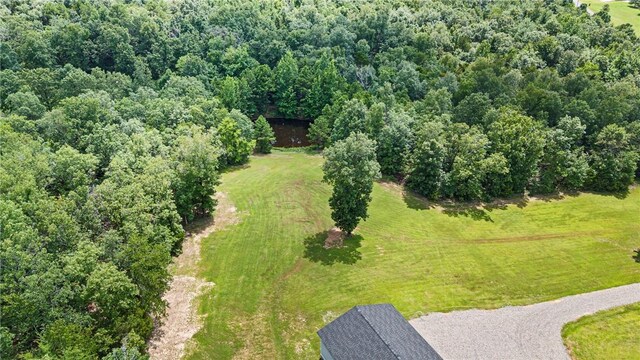 292 Water Falls Ln, Russellville, AR 72802 - photo 50