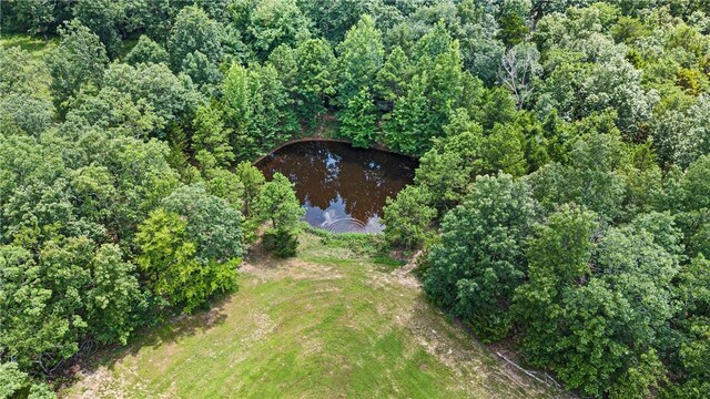 292 Water Falls Ln, Russellville, AR 72802 - photo 51