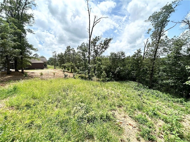 14 Halford Ln, Bella Vista, AR 72715 - photo 37