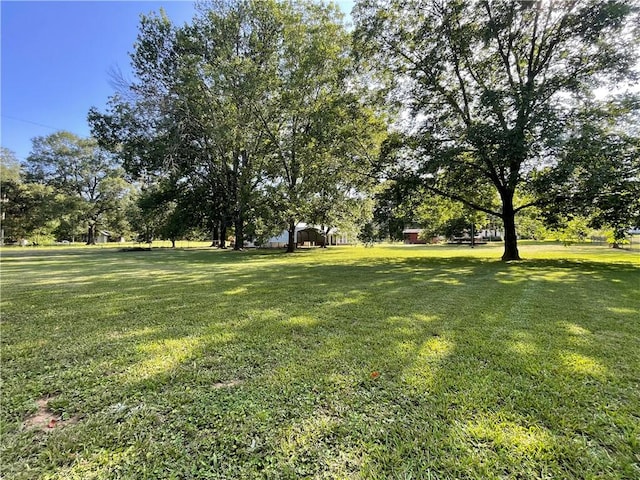 10109 3rd St, Plainview, AR 72857 - photo 35