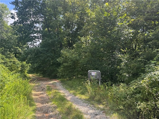 10347 Devils Den Rd, Winslow, AR 72959 - photo 13