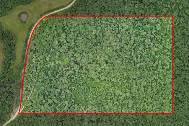 10347 Devils Den Rd, Winslow, AR 72959 - photo 2