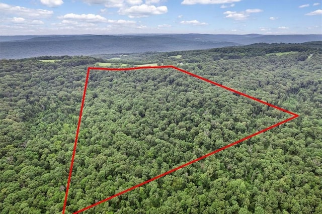 10347 Devils Den Rd, Winslow, AR 72959 - photo 3