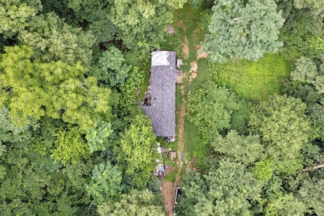 10347 Devils Den Rd, Winslow, AR 72959 - photo 6
