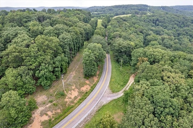 10347 Devils Den Rd, Winslow, AR 72959 - photo 8