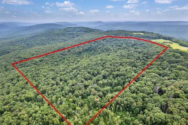 10347 Devils Den Rd, Winslow, AR 72959 - photo 9