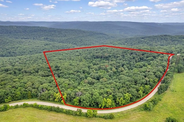 10347 Devils Den Rd, Winslow, AR 72959 - photo 10