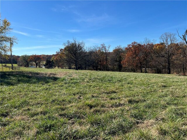 2140 Liberty Ave, Tontitown, AR 72762 - photo 9