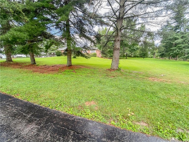 261 Button Dr, Harrison, AR 72601 - photo 33