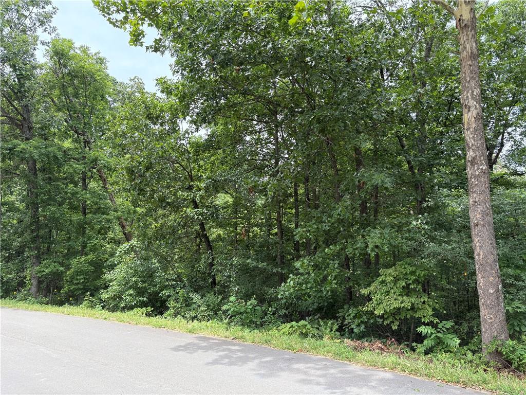 2 Little Dr, Bella Vista, AR 72715 - photo 1