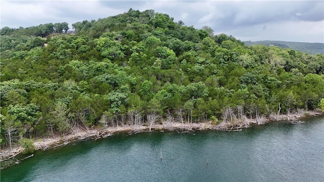 LOTS8, 9, 10 Cedar Forest Dr, Garfield, AR 72732 - photo 1