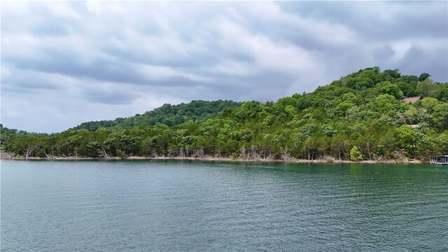 LOTS8, 9, 10 Cedar Forest Dr, Garfield, AR 72732 - photo 10