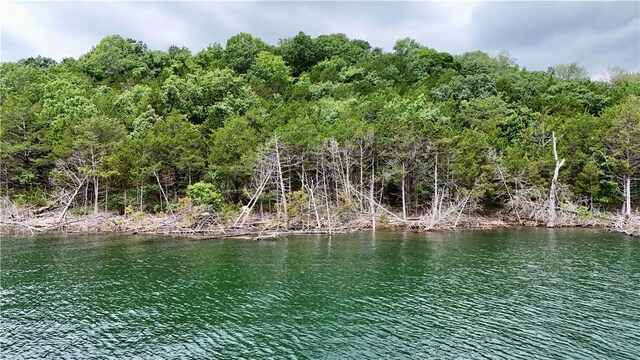 LOTS8, 9, 10 Cedar Forest Dr, Garfield, AR 72732 - photo 3