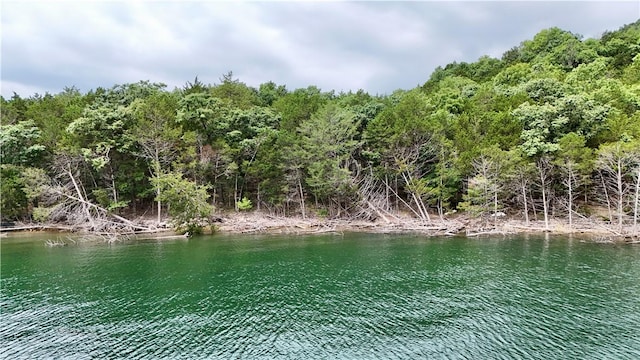 LOTS8, 9, 10 Cedar Forest Dr, Garfield, AR 72732 - photo 8