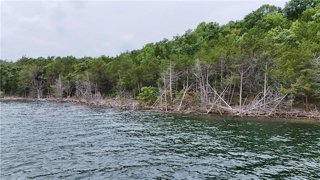 LOTS8, 9, 10 Cedar Forest Dr, Garfield, AR 72732 - photo 4