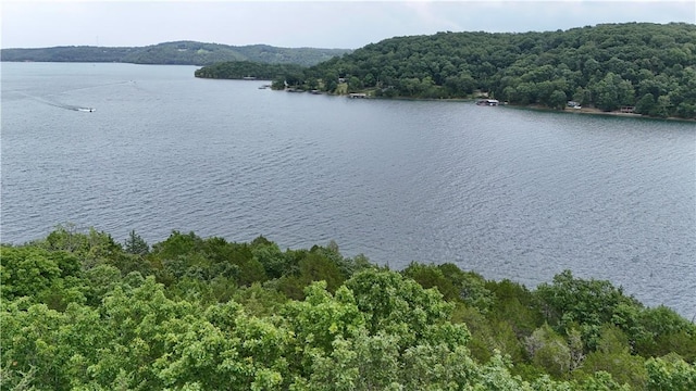 LOTS8, 9, 10 Cedar Forest Dr, Garfield, AR 72732 - photo 13
