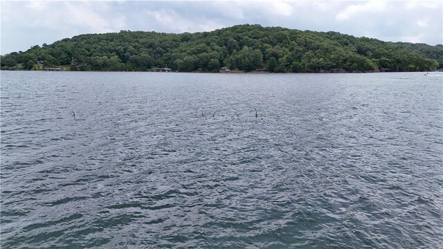 LOTS8, 9, 10 Cedar Forest Dr, Garfield, AR 72732 - photo 14