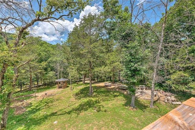1 Thomas Cir, Holiday Island, AR 72631 - photo 30