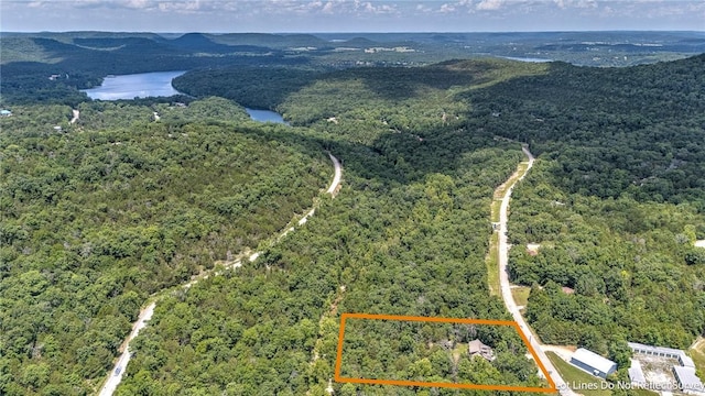 1 Thomas Cir, Holiday Island, AR 72631 - photo 34