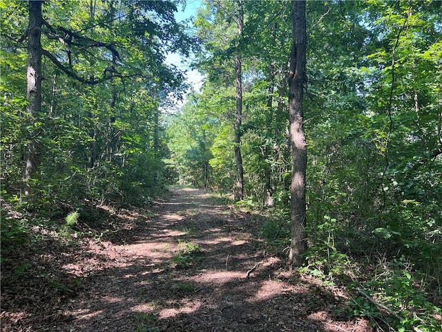 696 Old Hwy 66, Leslie, AR 72645 - photo 7