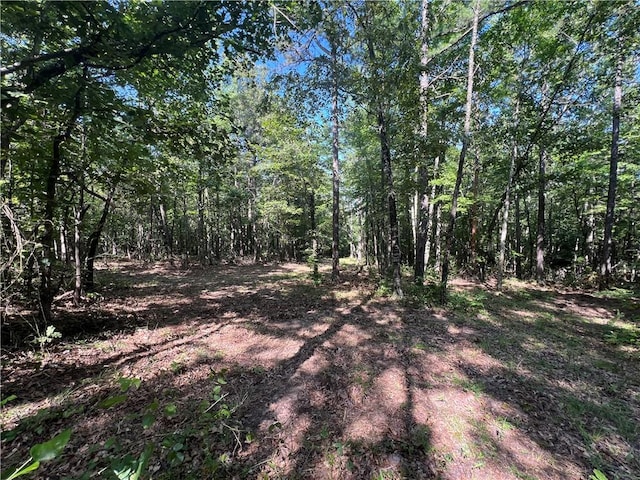 696 Old Hwy 66, Leslie, AR 72645 - photo 3