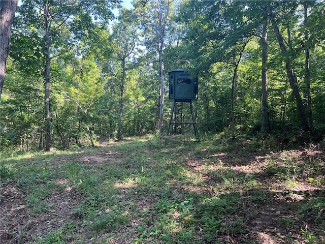 696 Old Hwy 66, Leslie, AR 72645 - photo 11
