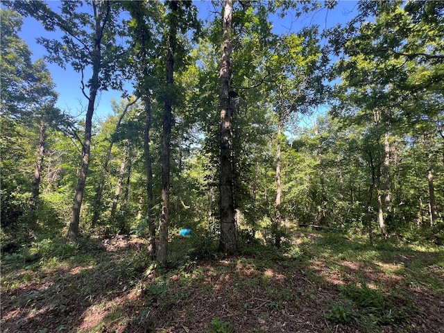 696 Old Hwy 66, Leslie, AR 72645 - photo 12