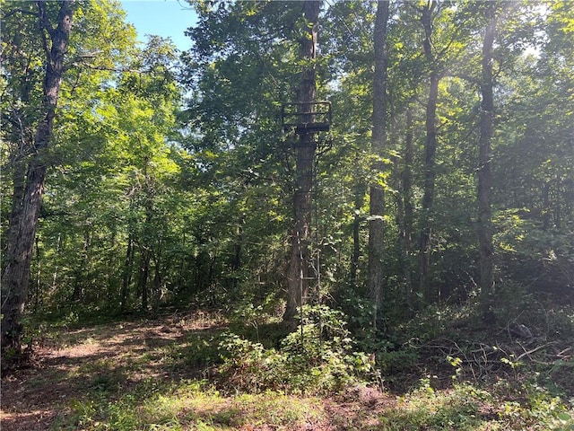 696 Old Hwy 66, Leslie, AR 72645 - photo 13