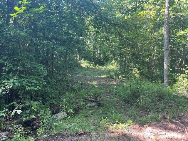 696 Old Hwy 66, Leslie, AR 72645 - photo 16