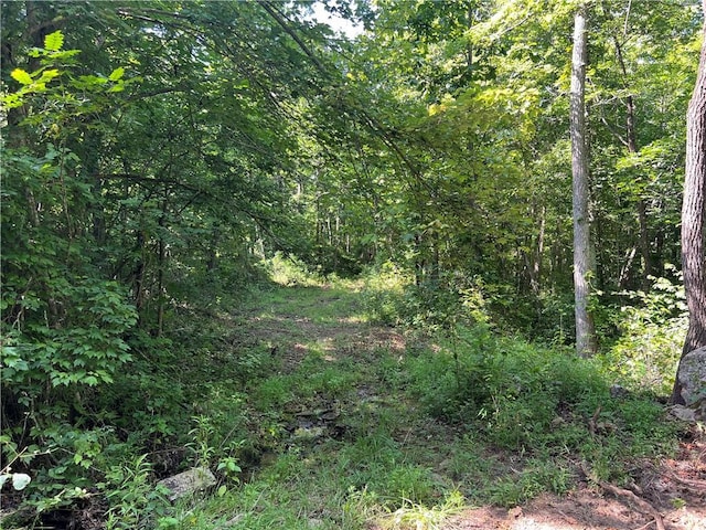696 Old Hwy 66, Leslie, AR 72645 - photo 17