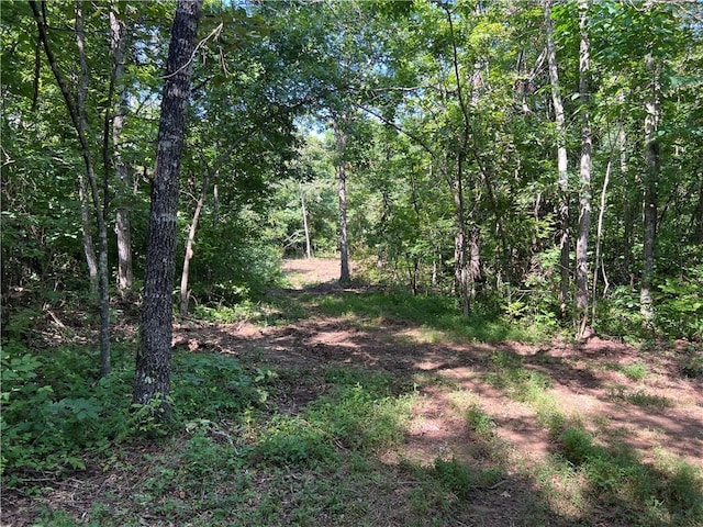 696 Old Hwy 66, Leslie, AR 72645 - photo 18