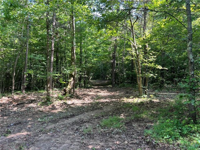 696 Old Hwy 66, Leslie, AR 72645 - photo 19