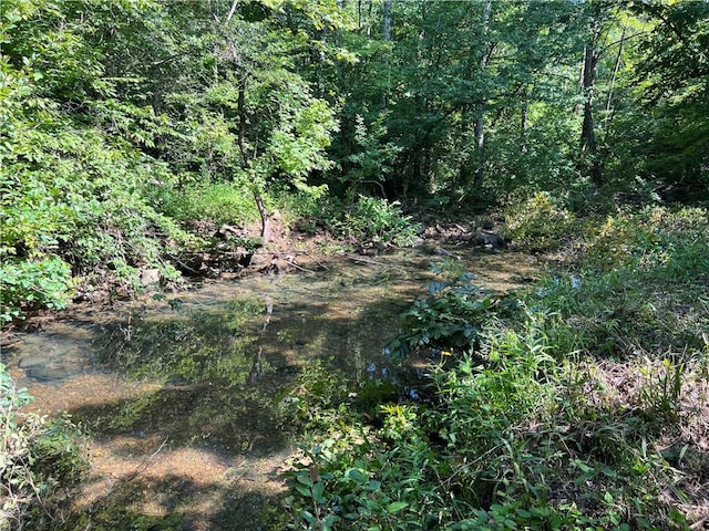 696 Old Hwy 66, Leslie, AR 72645 - photo 20