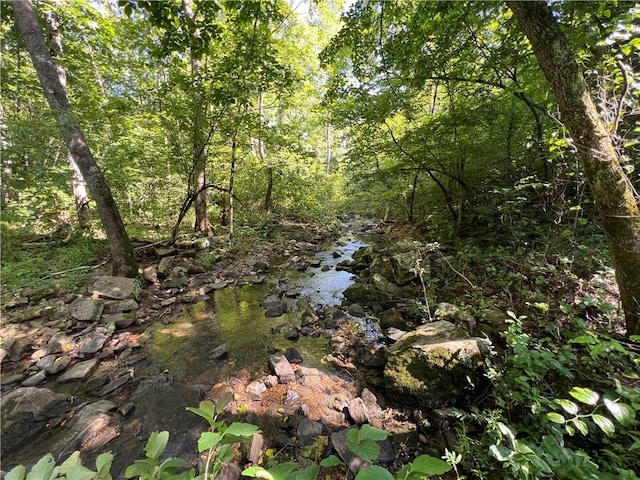 696 Old Hwy 66, Leslie, AR 72645 - photo 22