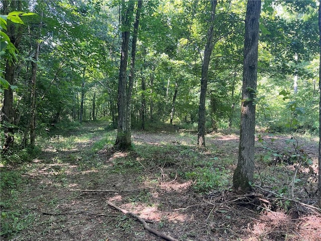 696 Old Hwy 66, Leslie, AR 72645 - photo 23