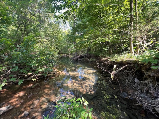 696 Old Hwy 66, Leslie, AR 72645 - photo 24
