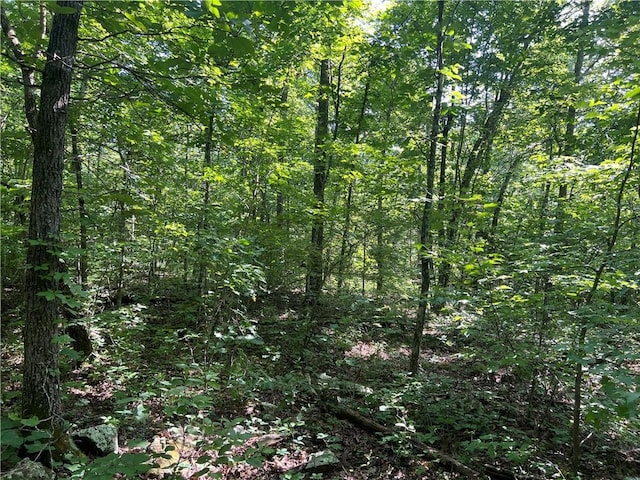696 Old Hwy 66, Leslie, AR 72645 - photo 25