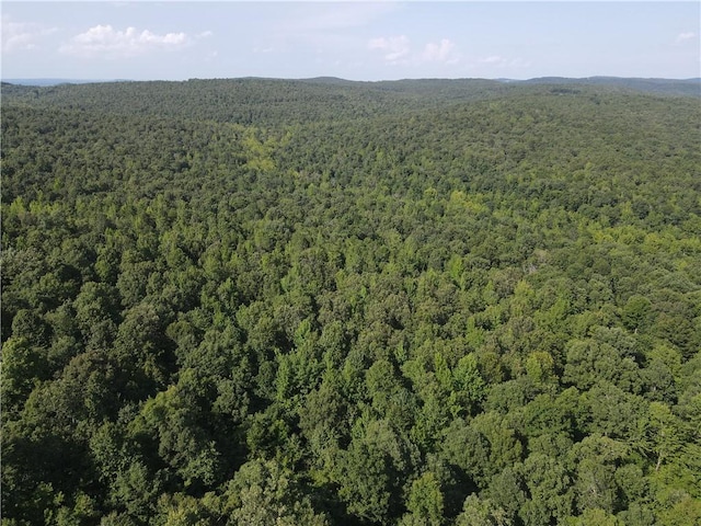 696 Old Hwy 66, Leslie, AR 72645 - photo 4