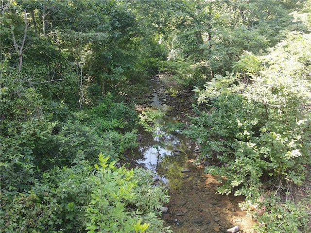 696 Old Hwy 66, Leslie, AR 72645 - photo 26