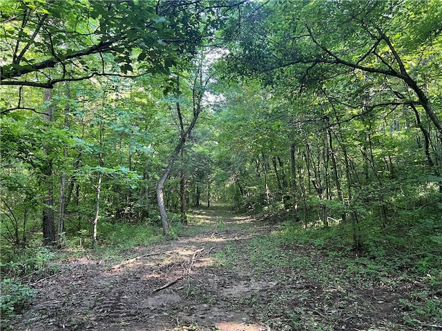 696 Old Hwy 66, Leslie, AR 72645 - photo 28
